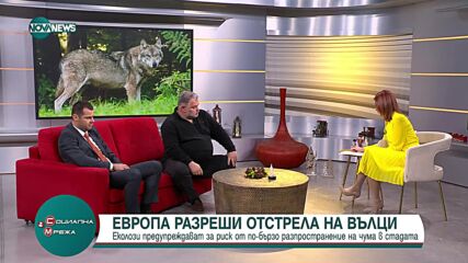 Европейската комисия отмени забраната за отстрелването на вълци
