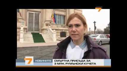 Избиват 3 милиона бездомни кучета в Румъния