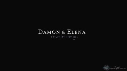 Delena - Damon and Elena - Never Let Me Go