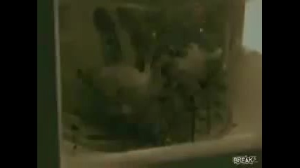 Eminem - Insane (music Video)