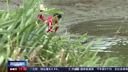 След наводненията: Издирват множество крокодили, избягали от ферма в Китай