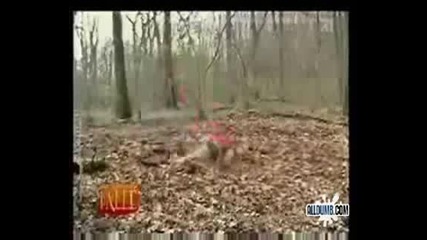 Скрита Камера - Смях :)