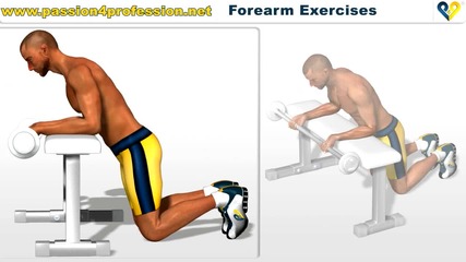 Forearm Exercises _ Wrist Curls