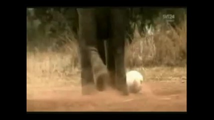 Official World Cup South Africa 2010 Theme Song .waving Flag. 