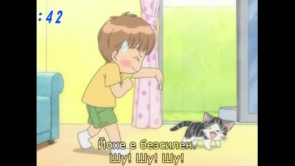 chi's sweet home 041 (bg)