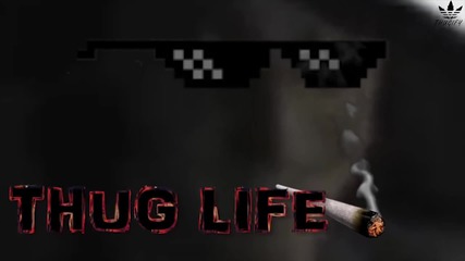 Златан Ибрахимович - Thug Life! :)