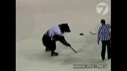 Мечка Хокеист