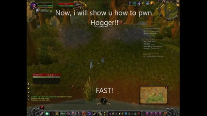 Patch 4.0.6 wow 1 level hunter twink Twink Watch