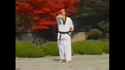 Wtf Taekwondo - Taegeuk Sam Jang (3 P.)