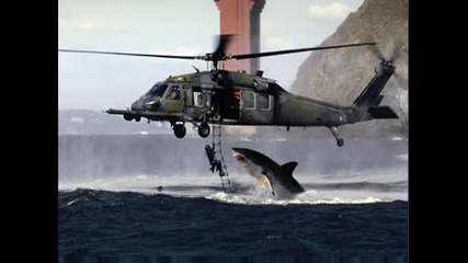 Акула напада американски хеликоптер