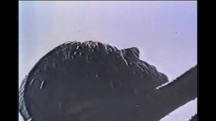 Scotch - Mirage Italo Disco Dance Classics High Energy 80s 