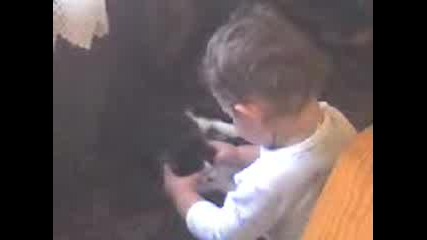 Krisi.3gp