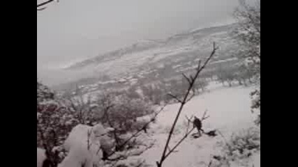 Parzalka 1