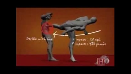 learn to fight in 5 min