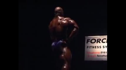 flex wheeler 1999
