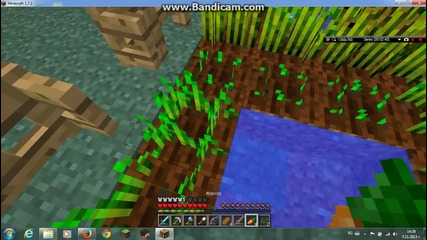 random survival