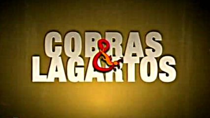 Cobras y Lagartos 078