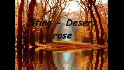 Sting - Desert rose.wmv