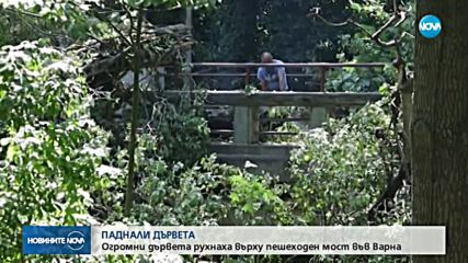 Огромни дървета рухнаха върху пешеходен мост във Варна
