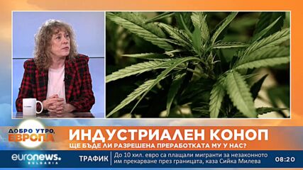 Албена Симеонова, ДБ: С активни мероприятия се опитва да се разклати нашата коалиция