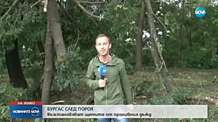 СЛЕД БУРЯТА В БУРГАС: Какви са щетите?