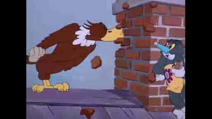 Tom And Jerry E01 Flirty Birdy