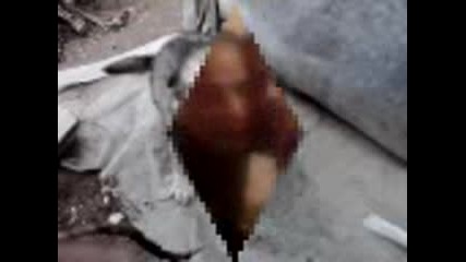 Roksana Dve salzi Amzi
