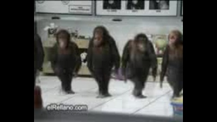 Луди Маймунки Танцуват