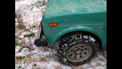 Първи сняг 2011