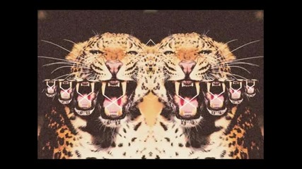 Gorilla Flex (roksonix King K- Funtcase (mos The Sound Of Dubstep Dark)