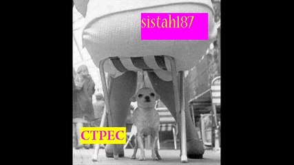 Sistah187 - Stres