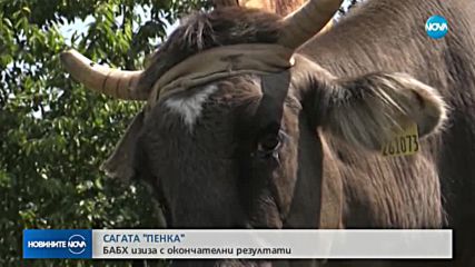 Новините на NOVA (11.06.2018 - 9.00 ч.)