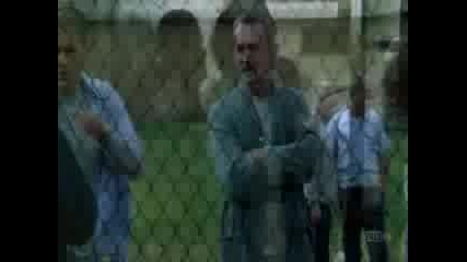 Prison Break - U - Fig