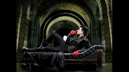 adam lambert - strut 