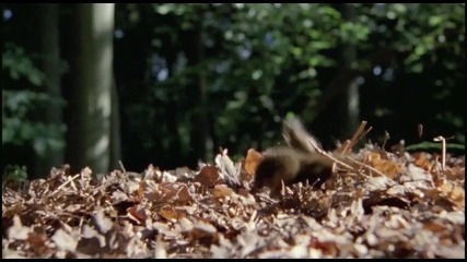 Планетата Земя (hd) 