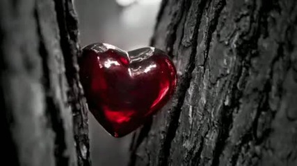 Whitesnake - Looking For Love