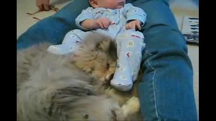 Сладко Бебе Срещу Котка - Епична Борба!!!