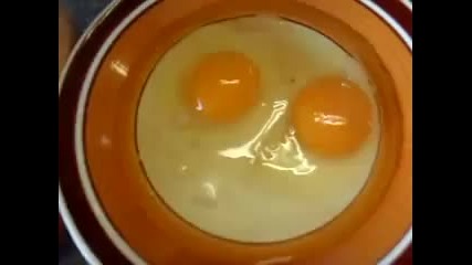 Big egg