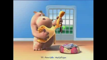 Hippo And Dog