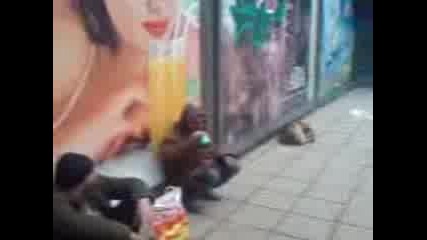 Софийски Алкохолик
