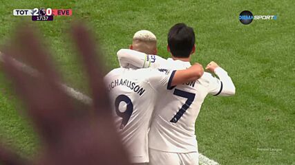 Tottenham Hotspur with a Goal vs. Everton