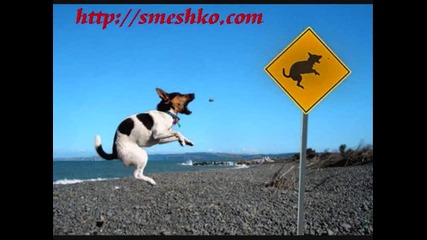 Smqx do skusvane!!!!!