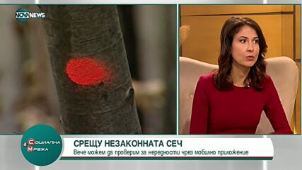 Срещу незаконната сеч