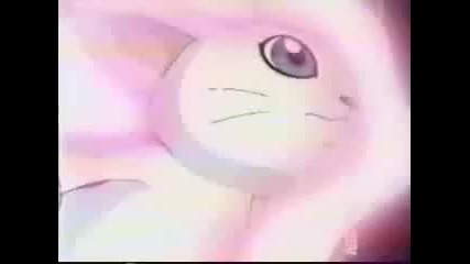 Gatomon + Aquilamon Dna Digivolve