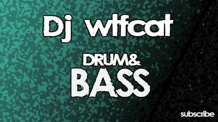 Dj wtfcat - Neurofunk Darkstep Mix 2011
