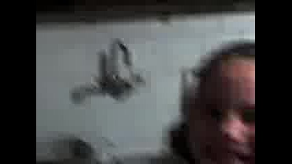 ludnicataaaaaaaa