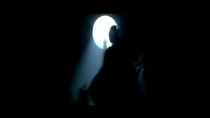 Miley Cyrus - Cant Be Tamed (official video) 
