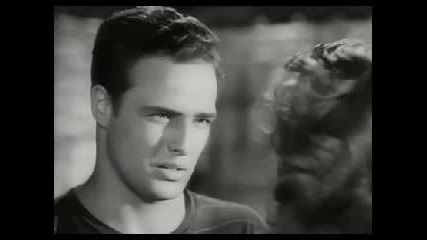 Marlon Brando Madness