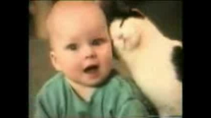 Funny Cats xd Смях xd 