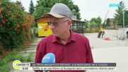 Животновъди настояват за квоти и минимална изкупна цена на българското месо